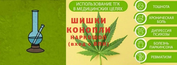 трава Бородино
