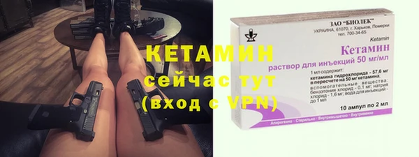 трава Бородино