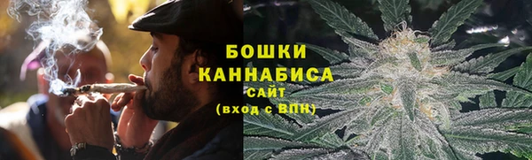 трава Бородино
