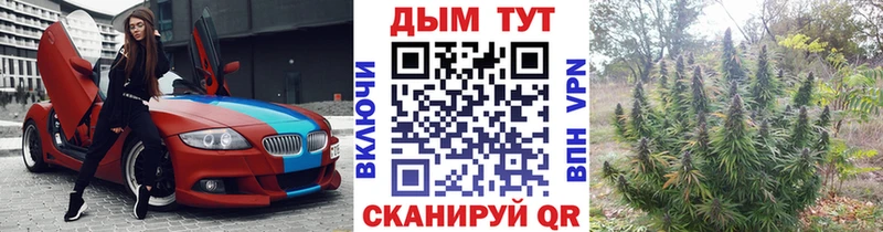 Бошки марихуана VHQ  Купить где  Михайловск 
